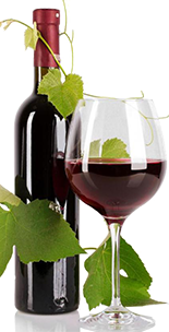 alle-weine-country-vector