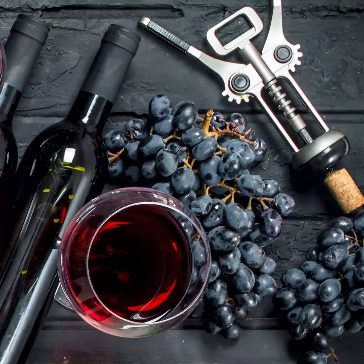 rebsorte-syrah